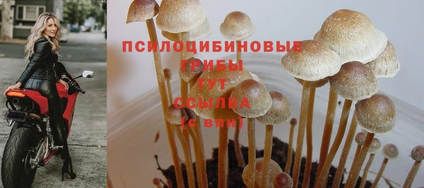 эйфоретик Беломорск
