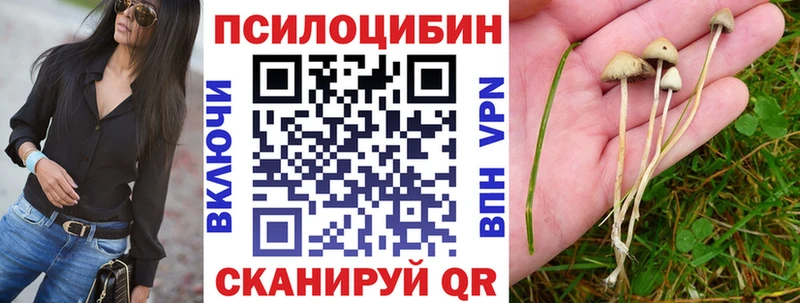 Галлюциногенные грибы Cubensis  Жигулёвск 